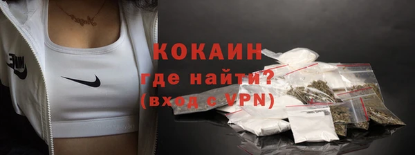 индика Армянск