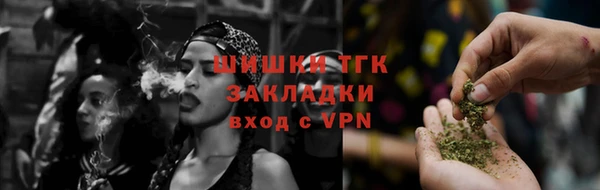 индика Армянск