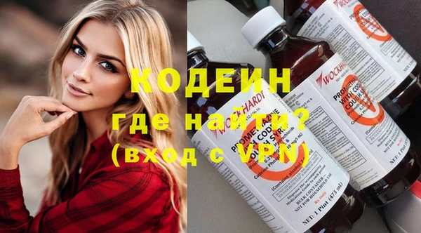 индика Армянск